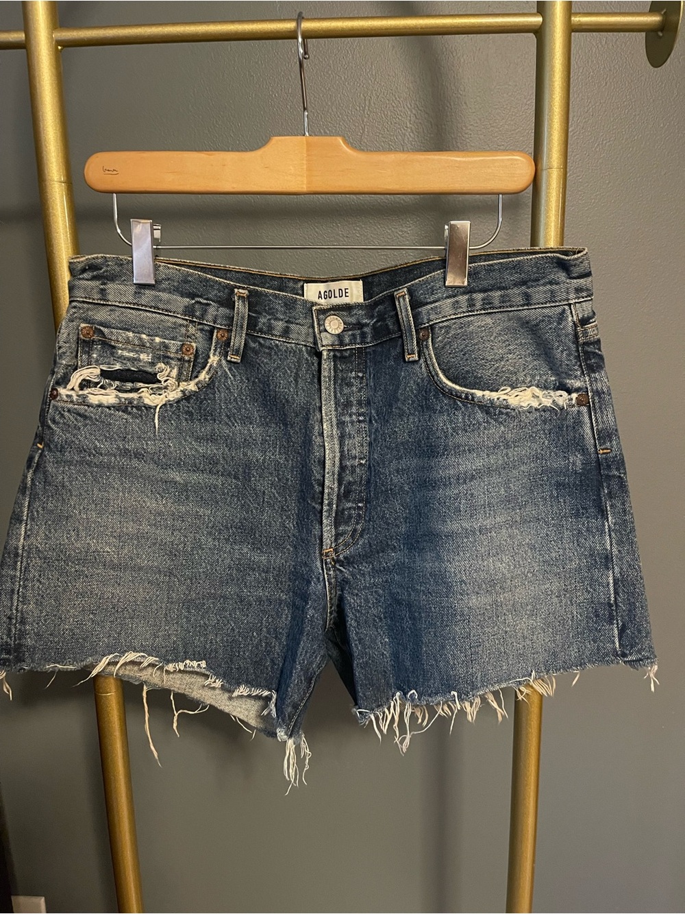 Agolde Reese High Waist Cutoff Denim Shorts in Precision